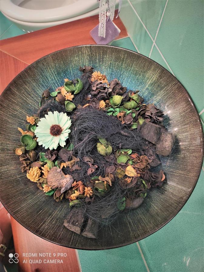 Careggi Garden Apartment フィレンツェ エクステリア 写真