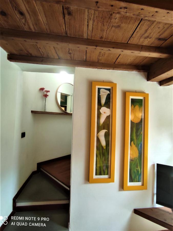 Careggi Garden Apartment フィレンツェ エクステリア 写真